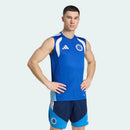 Adidas Cruzeiro 2026/27 Treino Swingman Jersey - Adidas product image