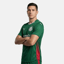 Palmeiras 26/27 Home Jersey Player Version product image