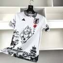 do Japao Unissex 24/25 Pain 24/25 Jersey Men's Fan Version product image