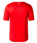 Lille LOSC 23/24 23/24 Jersey Men's Fan Version product image