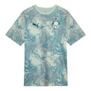 Camisa Palmeiras Pré-jogo 26/27 - Torcedor Puma Masculina - Verde e cinza