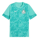 Camisa Palmeiras Treino 26/27 - Torcedor Puma Masculina - Verde