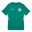 Camisa Palmeiras Treino 26/27 - Torcedor Puma Masculina - Verde