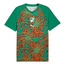 Camisa Seleção Costa do Marfim Pré- jogo 26/27 - Torcedor Puma Masculina - Verde e laranja