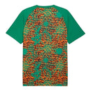 Camisa Seleção Costa do Marfim Pré- jogo 26/27 - Torcedor Puma Masculina - Verde e laranja