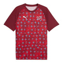Camisa Seleção Suíça Pré-jogo 26/27 - Torcedor Puma Masculina - Vermelha