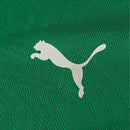 Camisa Fluminense Treino 26/27 - Torcedor Puma Masculina - Verde