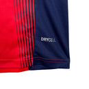Camisa Cerro Portenho I 23/24 - Torcedor Puma Masculina - Vermelha com detalhes em azul e branca