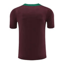 Camisa Paris Saint-Germain Treino 24/25 - Torcedor Nike Masculina - Vinho com detalhes em verde