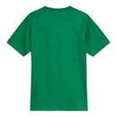 Camisa Palmeiras Treino 25/26 - Torcedor Puma Masculina - Verde