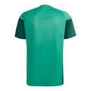 Camisa Seleção Argélia Treino 26/27 - Torcedor Adidas Masculina - Verde