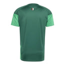 Camisa Seleção Argélia Treino 26/27 - Torcedor Adidas Masculina - Verde