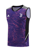 Juventus 23/24 - Treino - Roxo Swingman Jersey product image
